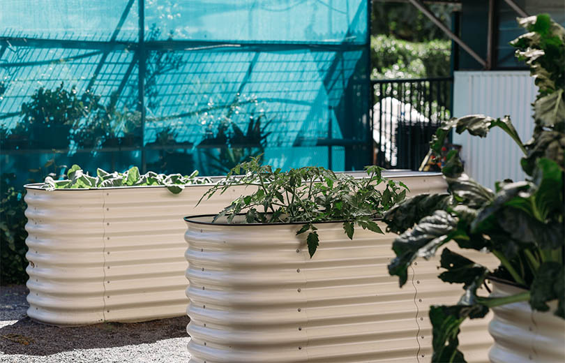 Garden beds at Waminda Services